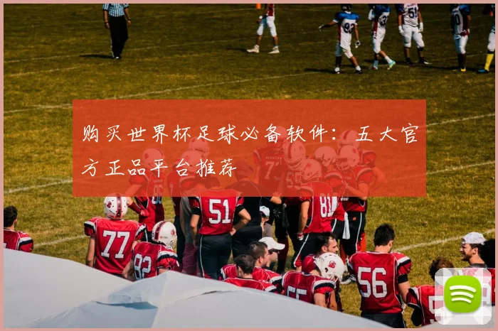 购买世界杯足球必备软件：五大官方正品平台推荐