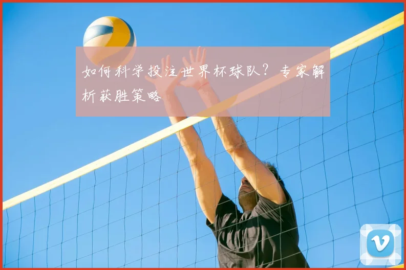 如何科学投注世界杯球队？专家解析获胜策略
