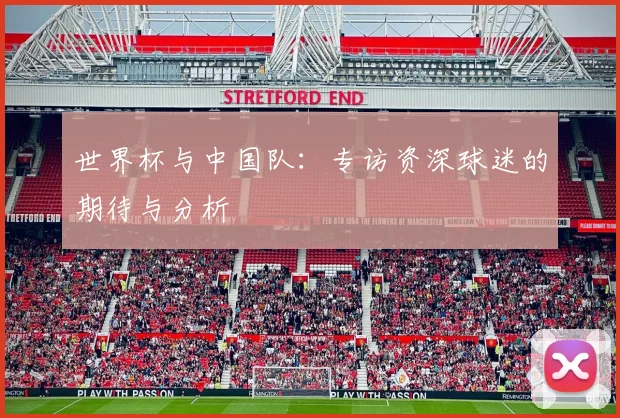 世界杯与中国队：专访资深球迷的期待与分析