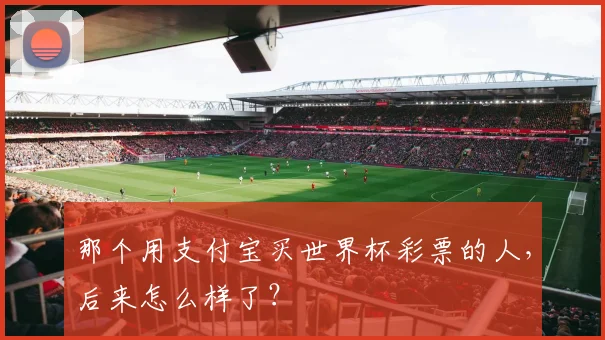 那个用支付宝买世界杯彩票的人，后来怎么样了？