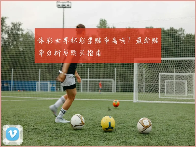 体彩世界杯彩票赔率高吗？最新赔率分析与购买指南