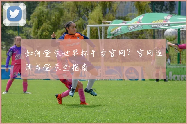 如何登录世界杯平台官网？官网注册与登录全指南