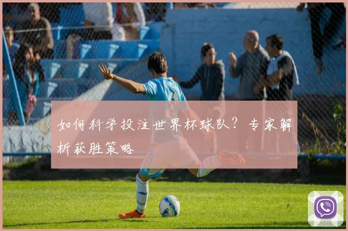 如何科学投注世界杯球队？专家解析获胜策略