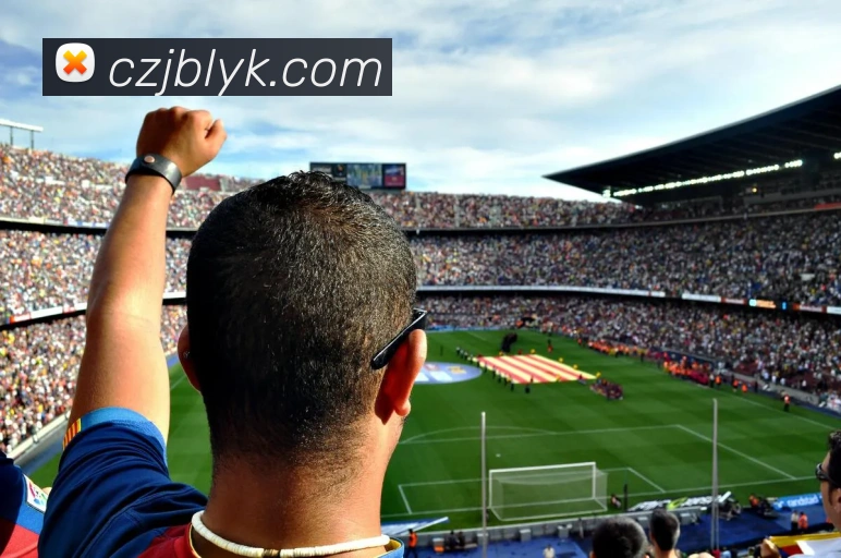 kaiyun体育在线登陆入口平台生态图